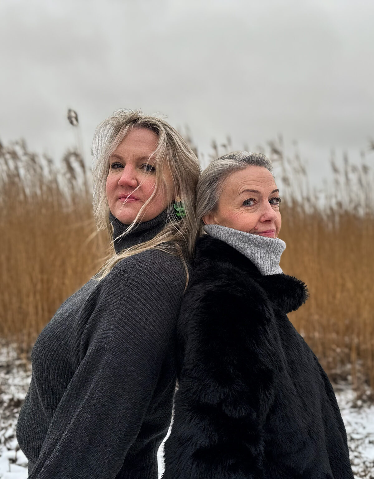 Anne Ige, Mari Haavel, Kardinastuudio