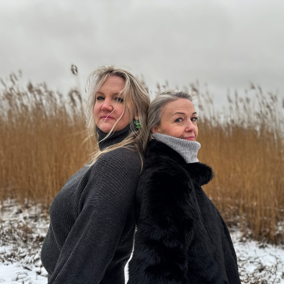 Anne Ige, Mari Haavel, Kardinastuudio